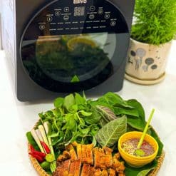 cách sử dụng nồi chiên không dầu olivo af15